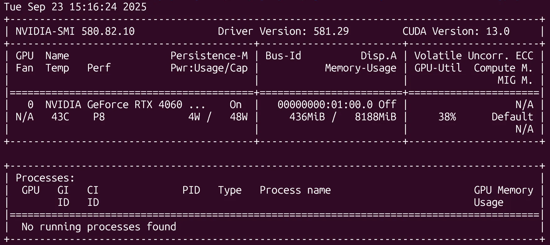 nvidia-smi output
